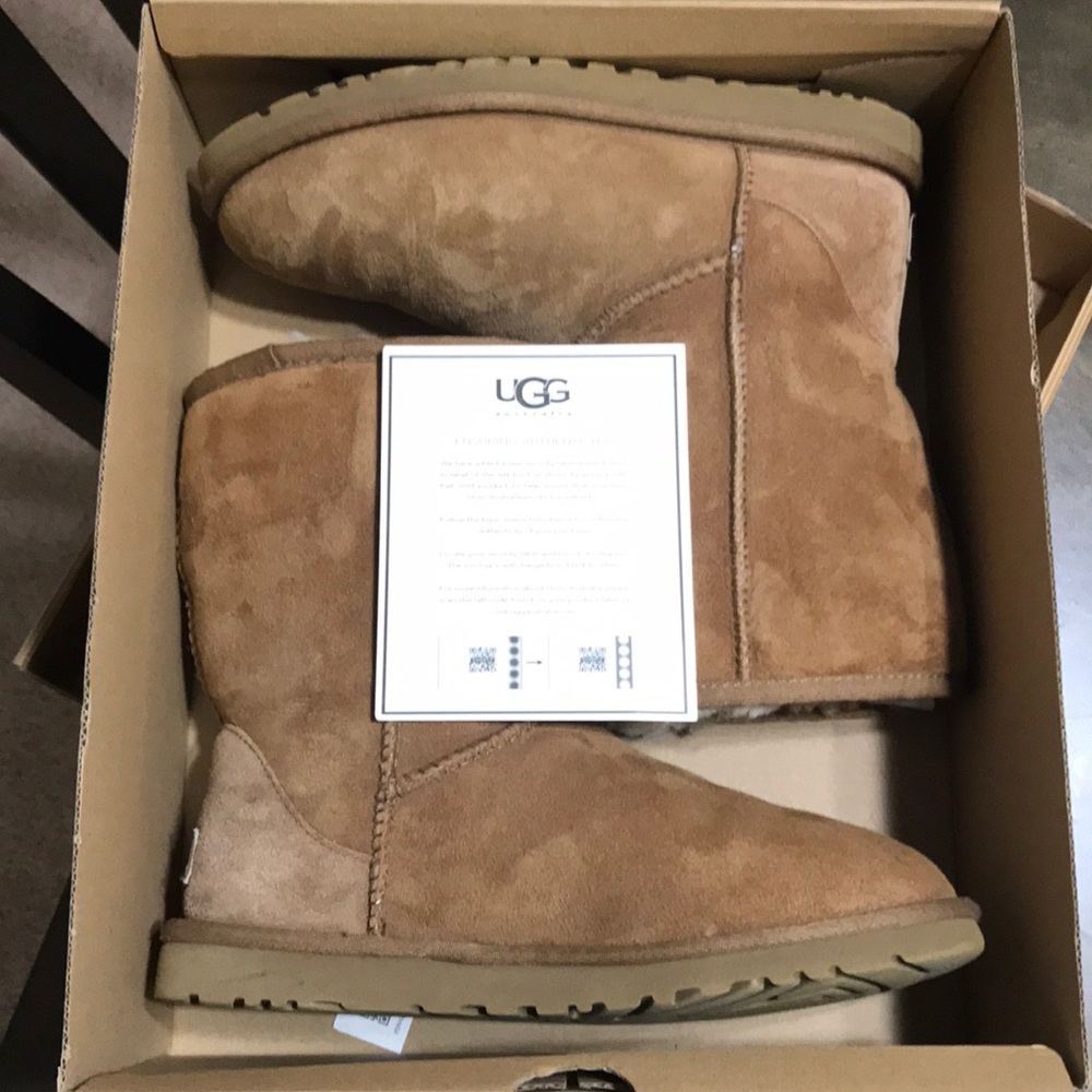 Chestnut Classic Short Uggs, Size 6